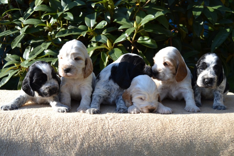 10-Janet, Jantar, Just, Jambo, Jessi, Janie.JPG